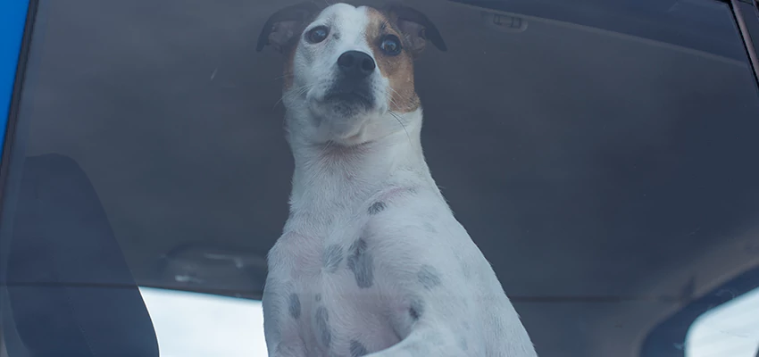 Car Lockout Solutions in Tustin, California